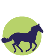 stories icon small_horse